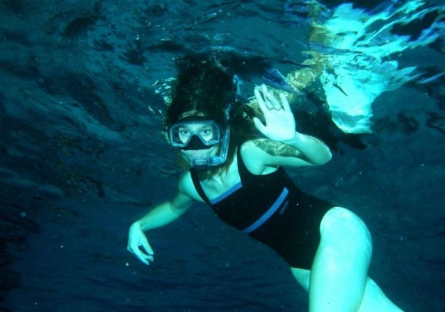  在游泳池中进行训练和潜水训练 